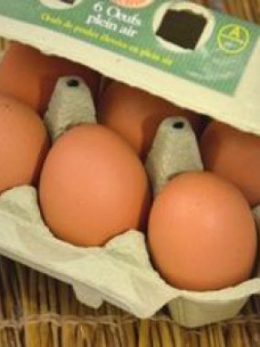 Boite de 6 oeufs